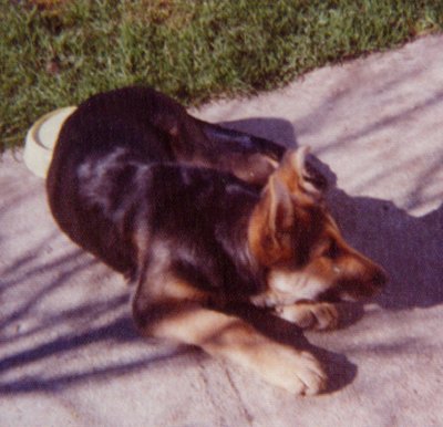 Duchess @ 5 months