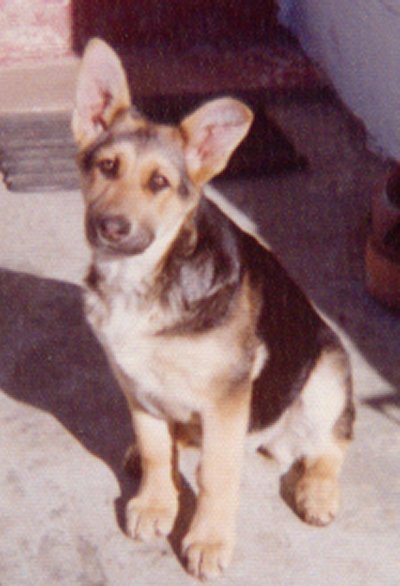 Duchess @ 5 months