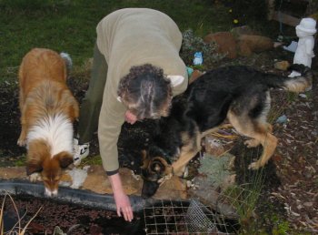 Max, Maureen & Hardy