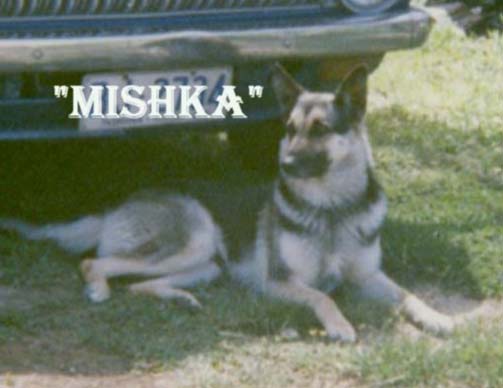 Mishka