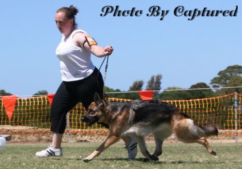 *Spellbinda Lady Luck AZ ET BSCL.1 Excellent Merit @ 34 Months