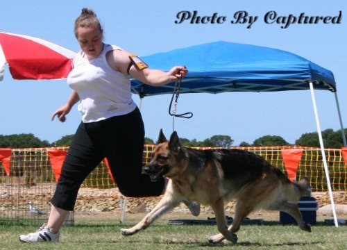 *Spellbinda Lady Luck AZ ET BSCL.1 Excellent Merit @ 34 Months